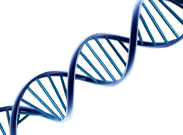 哈尔滨捐卵医院